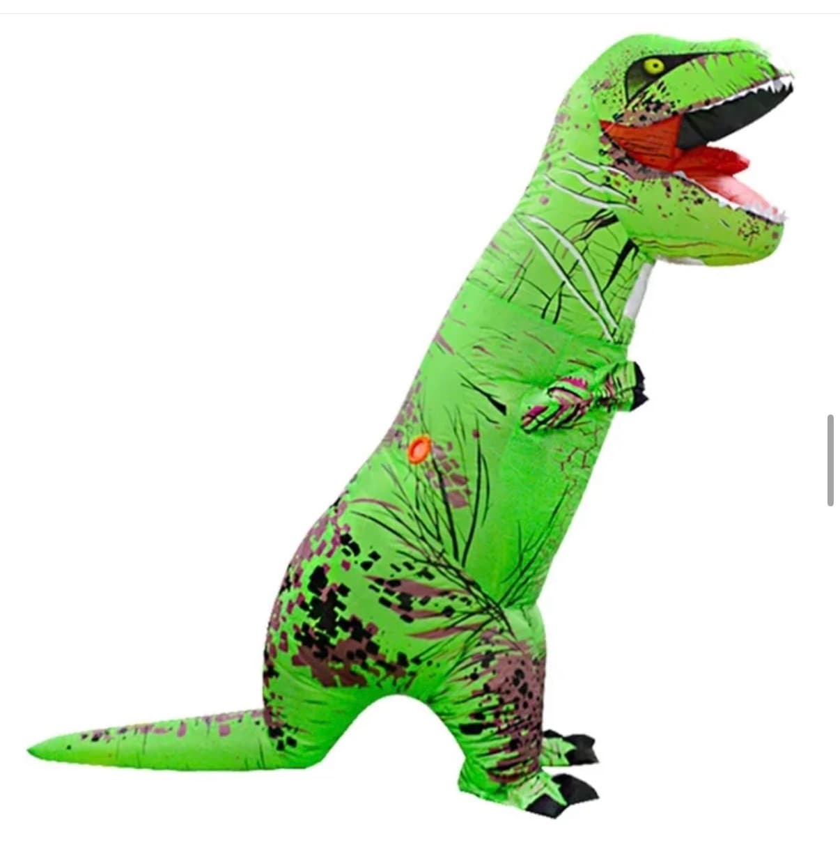 Dinozaurs (1)