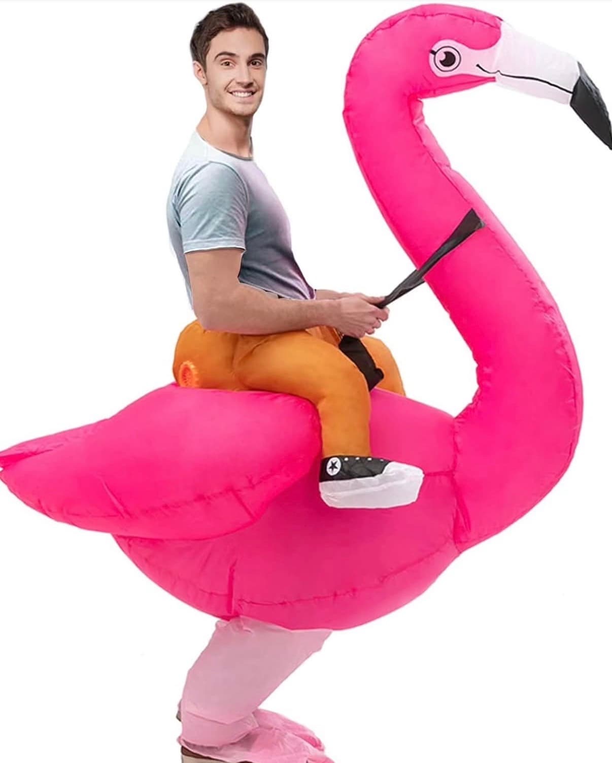 Flamingo