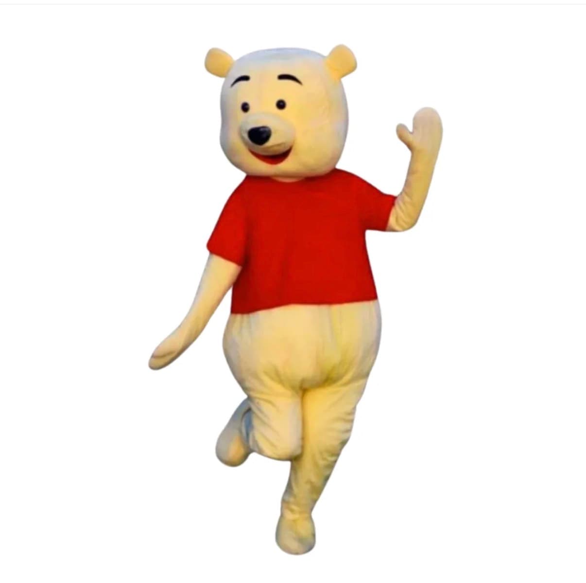 Vinnijs Pūks